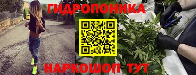 молекула духа Белореченск