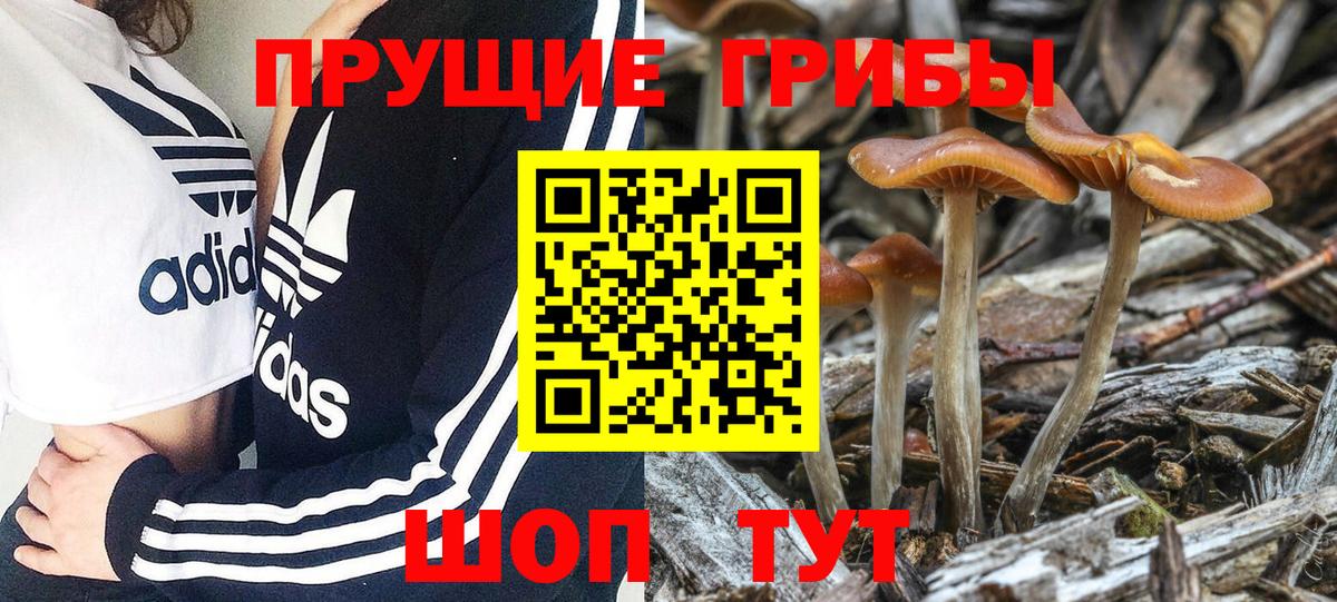 Псилоцибиновые грибы MAGIC MUSHROOMS Белгород