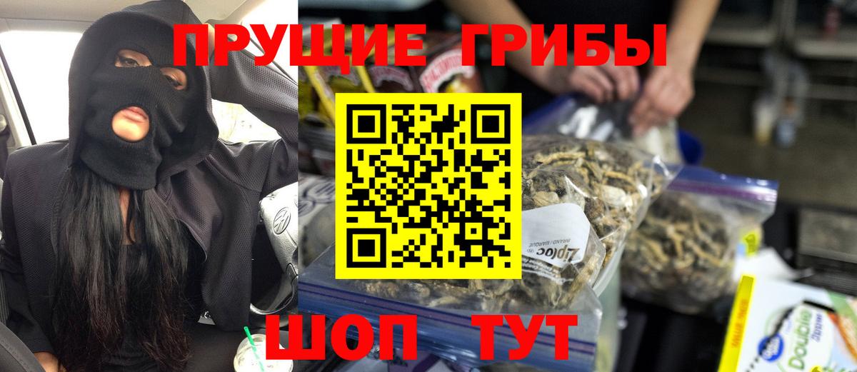 Белгород  Псилоцибиновые грибы Psilocybe  Вход с VPN 